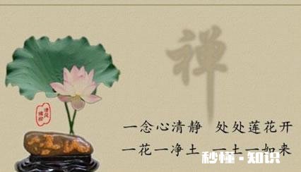 假如您能重来一次你的人生,你会怎么过