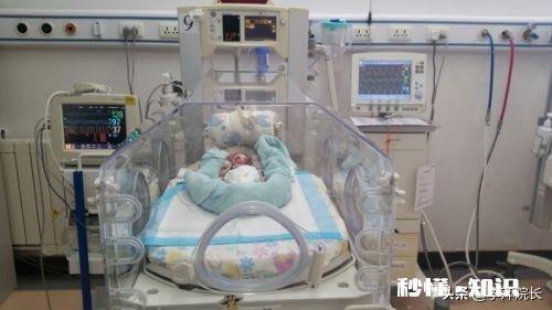 你们身边的早产宝宝，智力都正常吗