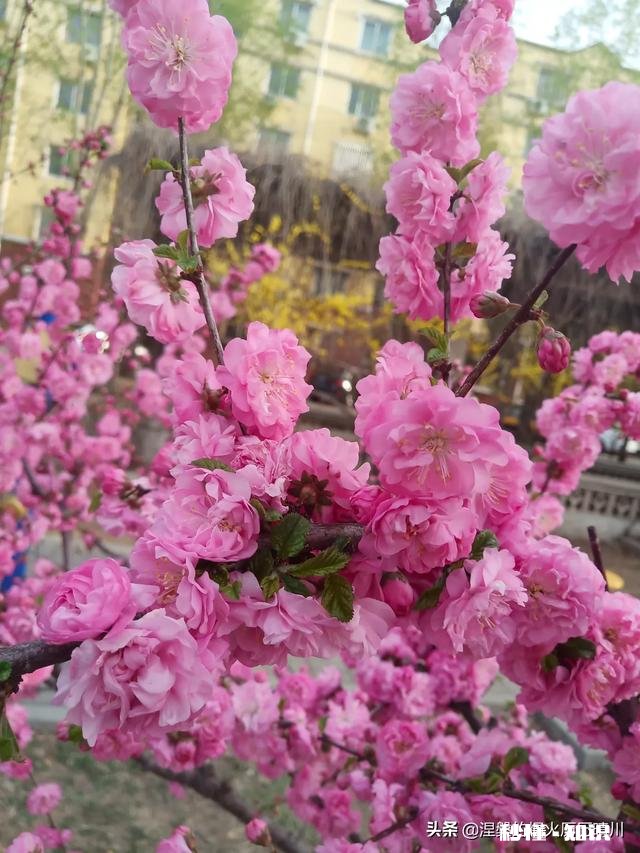 没有孩子，有工作和有房子的离婚男人好找老婆吗