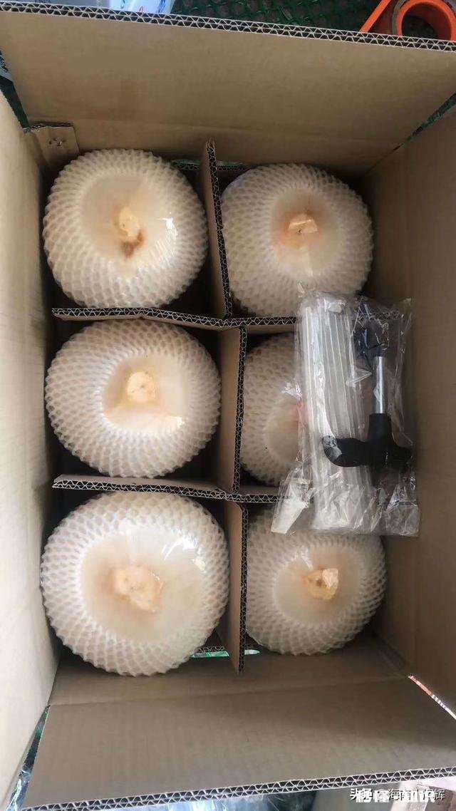 我一个月联系不上我对象,她父母不认识我,去她家合适吗