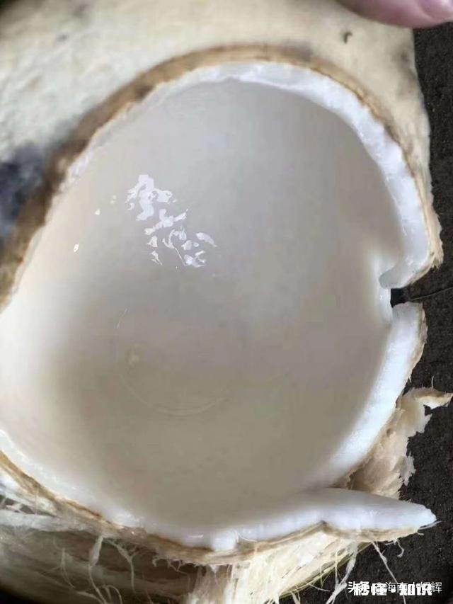 我一个月联系不上我对象,她父母不认识我,去她家合适吗