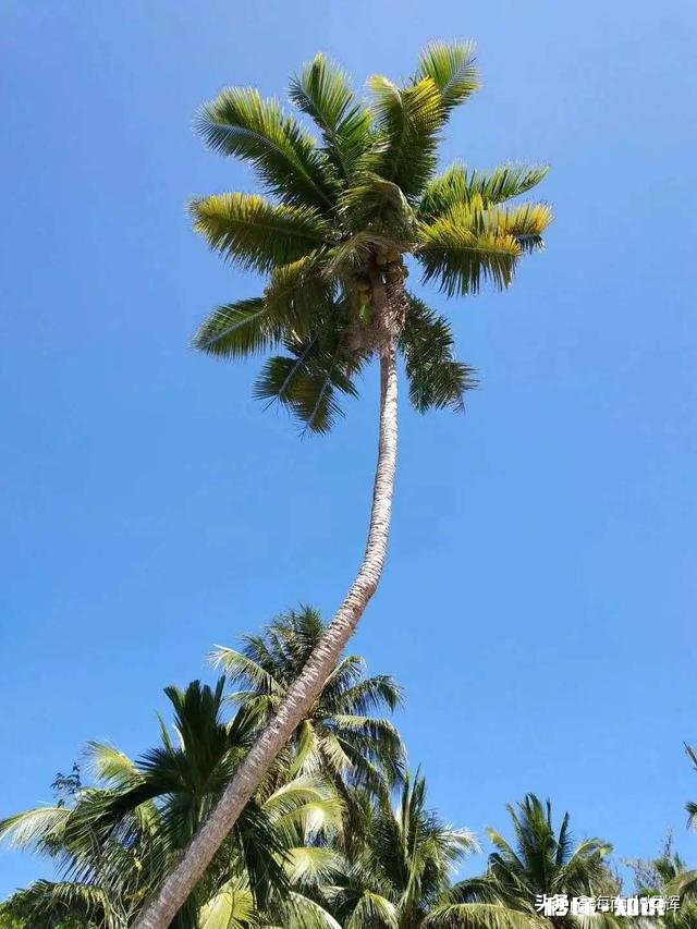 我一个月联系不上我对象,她父母不认识我,去她家合适吗