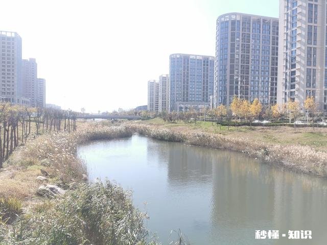 抛开中心城区，沿着地铁线去买远郊地铁站旁的房子，你有建议吗
