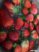 今日头条刚过了新手期，感觉推荐数急剧下降，大家有这个感觉吗该怎么办呢