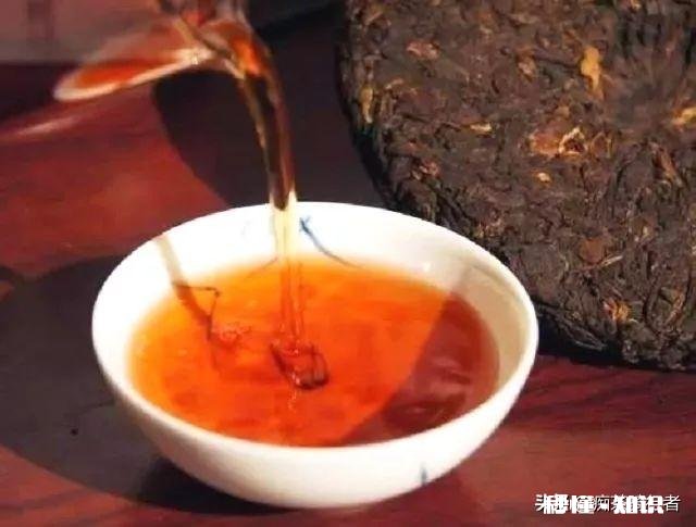 请问头条的生活领域和优质VLOG领域,有什么区别