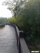 城市留住了我们的青春，能留住我们回家的脚步吗