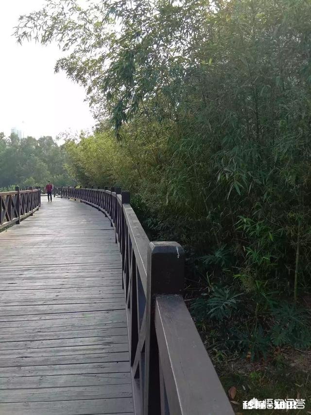 城市留住了我们的青春，能留住我们回家的脚步吗