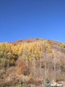 每到深秋心中就会莫名的伤感，有多少人是和我一样的