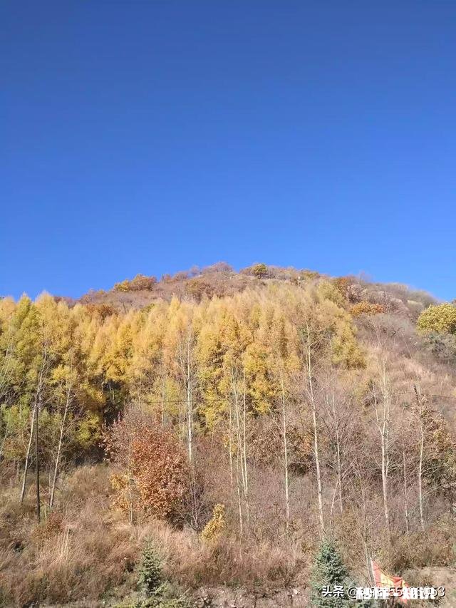 每到深秋心中就会莫名的伤感，有多少人是和我一样的