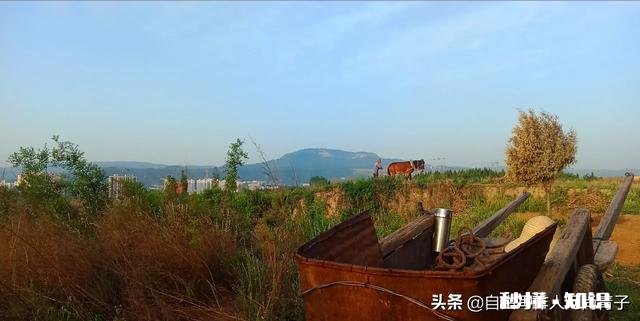 成年人过儿童节是一种什么心态