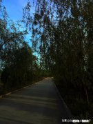 成年人过儿童节是一种什么心态