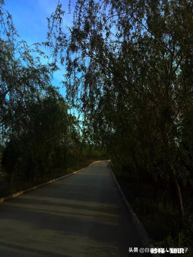 成年人过儿童节是一种什么心态