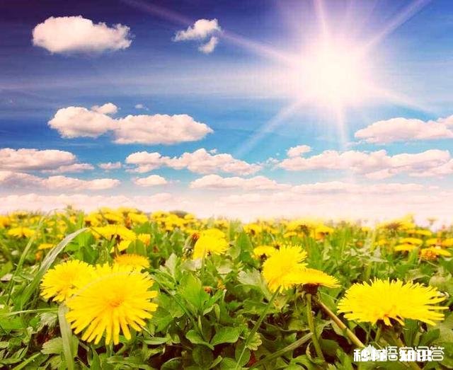 假如你老了，你会想谁