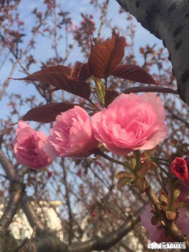 如何用“钱生钱儿”写一首诗