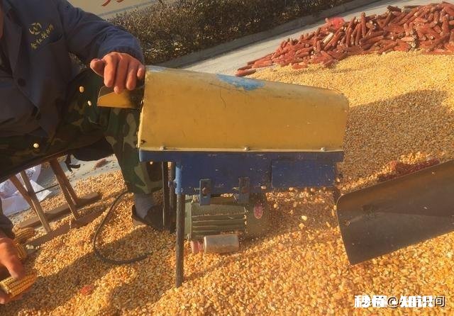 今年玉米进口量同比增长30%,会对国内玉米价格产生怎样的影响