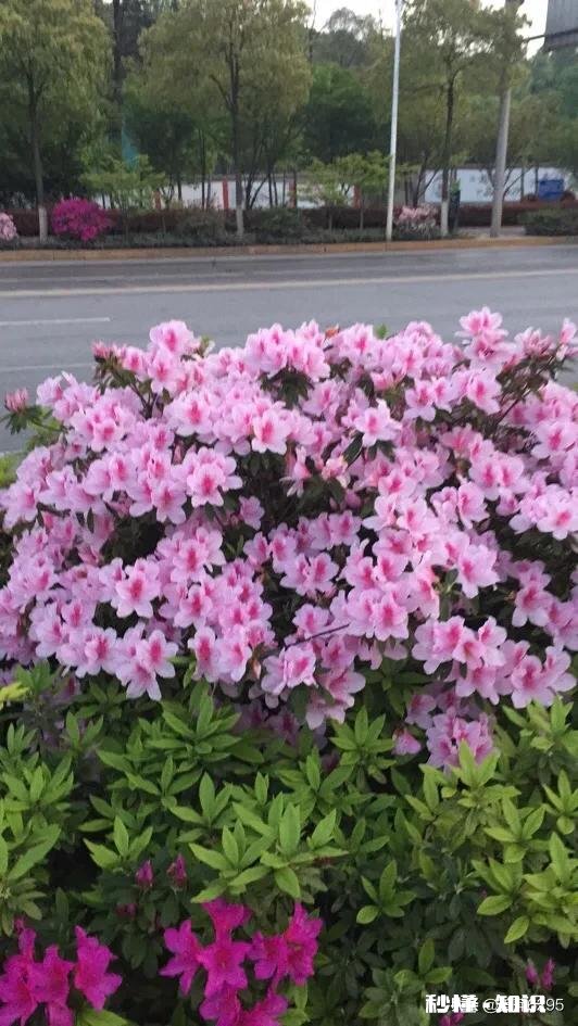 已经结婚了的聊聊天，我已经结婚了，想问问怎么经营婚姻，只限女