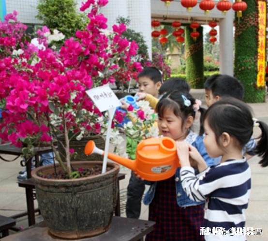 三角梅春天怎养护