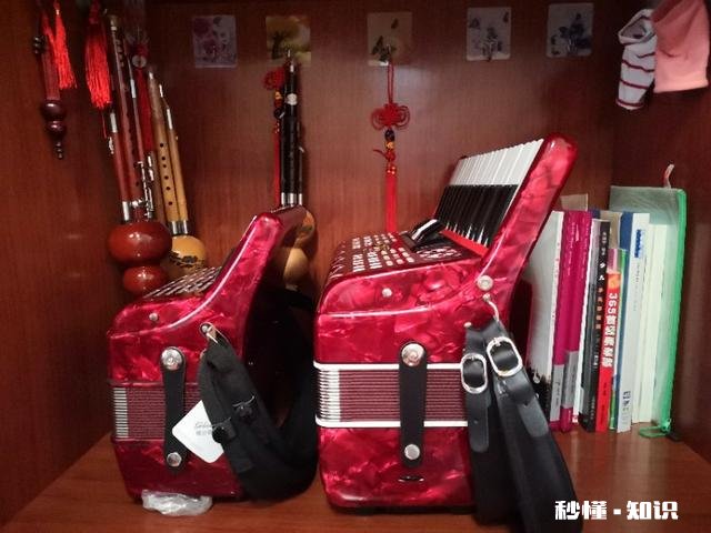 手风琴，钢琴比较，哪个容易学