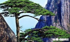 心理学与情商有什么关系吗