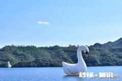 离高考只有100天左右了，现在特别迷茫，不知道怎么坚持下去，能来个人把我骂醒吗，或者提