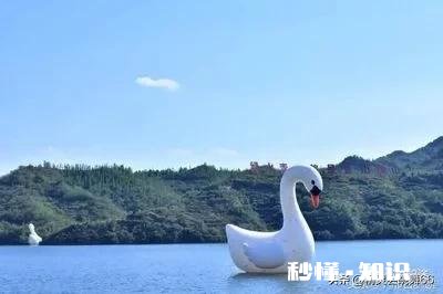 离高考只有100天左右了，现在特别迷茫，不知道怎么坚持下去，能来个人把我骂醒吗，或者提点意见。谢谢了