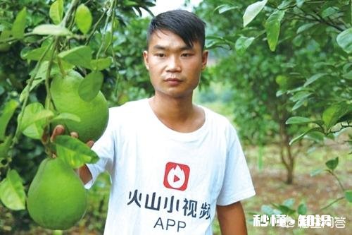 现在的网络技术及大数据，对三农有什么帮助