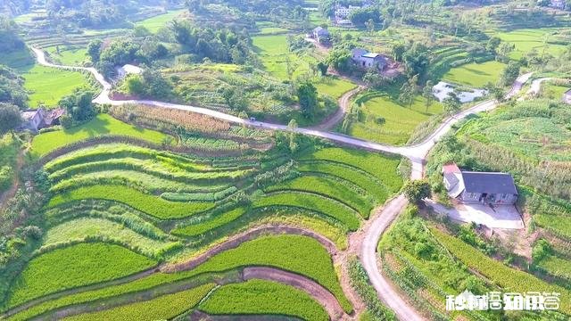 现在的网络技术及大数据，对三农有什么帮助