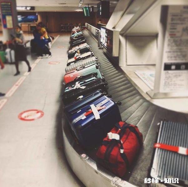 每次旅行都被行李箱拖垮计划是怎样一种体验