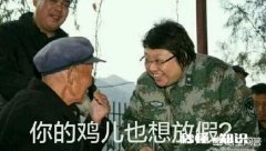 哪里可以看到国外那些类似于教授的街球大神视频