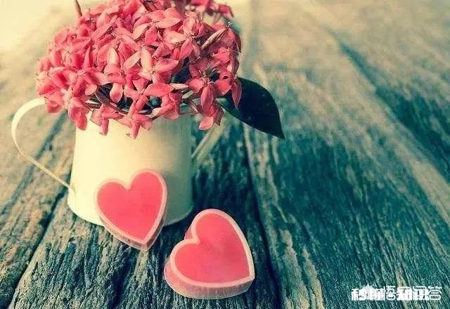 因怀孕辞职没有工作，丈夫却从没给过生活费，可以提出离婚吗