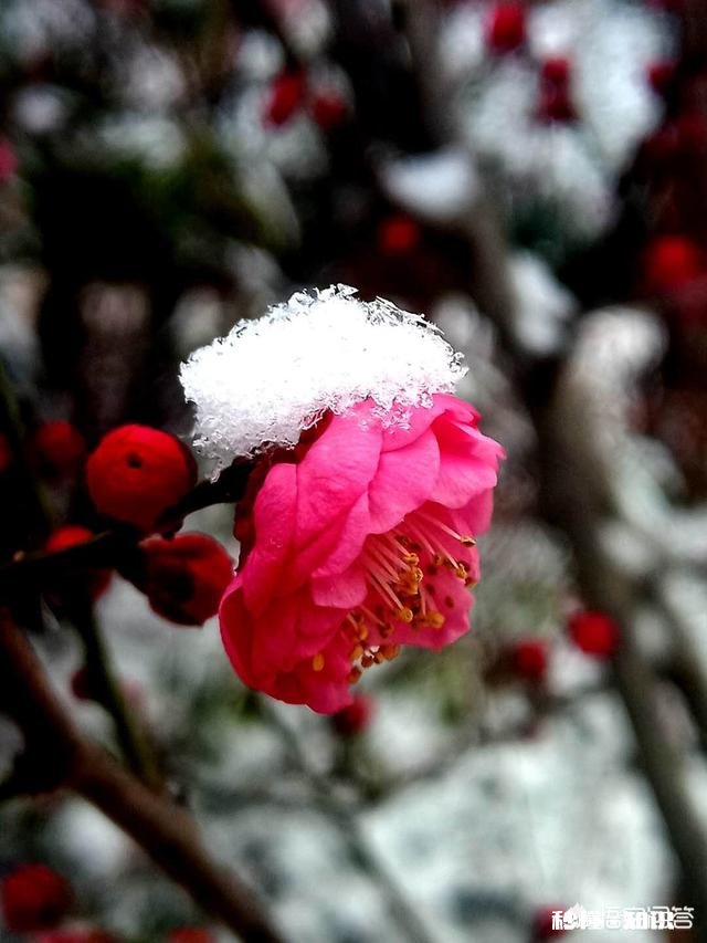 如何培养小孩对诗词的兴趣