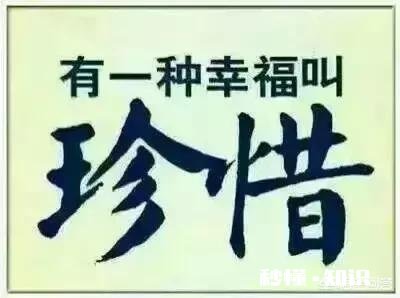 和很好的朋友吵架了，你会先找TA吗