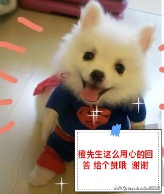 跨省搬家走物流如何搬大家知道吗