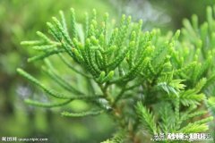 都说要远离负能量的人，如果那个人是自己母亲怎么办