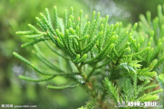 都说要远离负能量的人，如果那个人是自己母亲怎么办