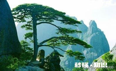 都说要远离负能量的人，如果那个人是自己母亲怎么办