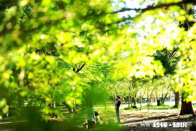 都说要远离负能量的人，如果那个人是自己母亲怎么办