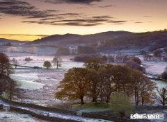 你们有什么特逗的表情包。大家懂吧，表情包一时爽，一直用一直爽