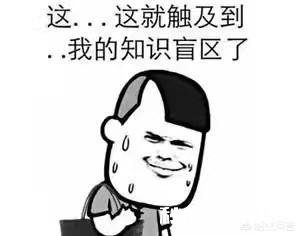 你们有什么特逗的表情包。大家懂吧，表情包一时爽，一直用一直爽