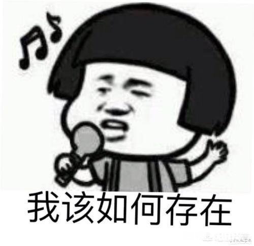 哪些笑话曾让你大半夜“笑出猪叫”