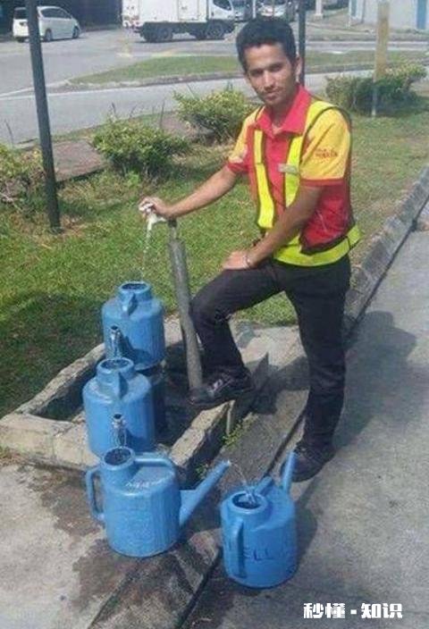 哪些笑话曾让你大半夜“笑出猪叫”