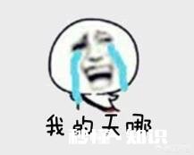 哪些笑话曾让你大半夜“笑出猪叫”