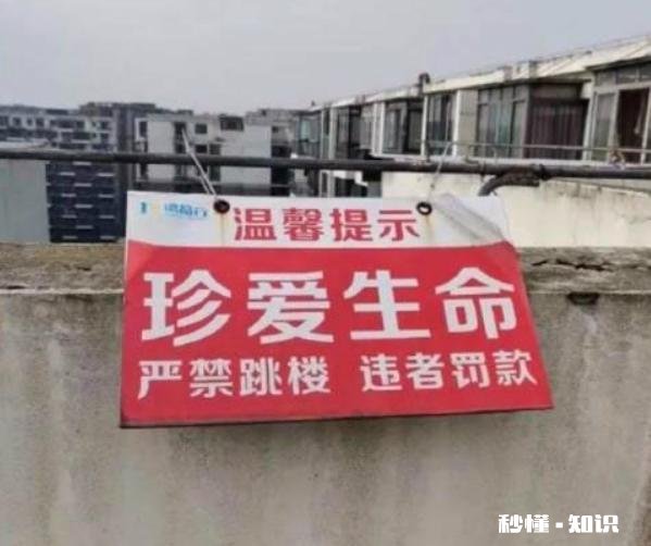 哪些笑话曾让你大半夜“笑出猪叫”