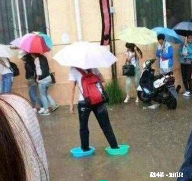 哪些笑话曾让你大半夜“笑出猪叫”