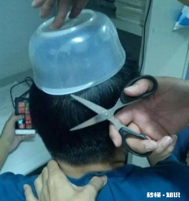 哪些笑话曾让你大半夜“笑出猪叫”