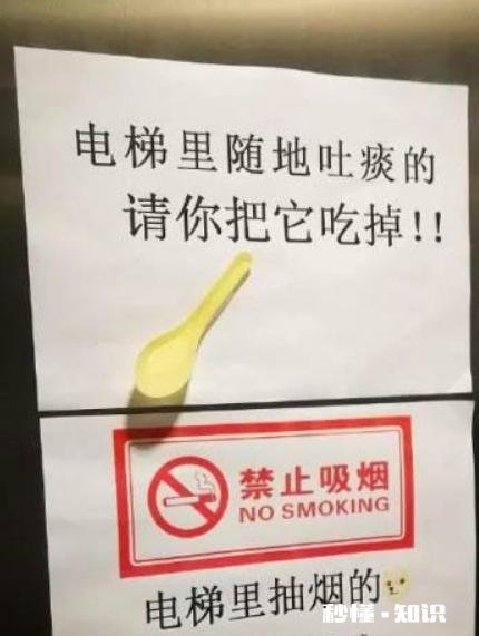 哪些笑话曾让你大半夜“笑出猪叫”