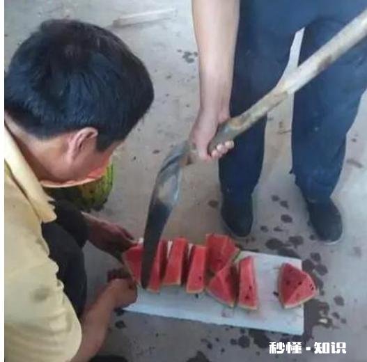 哪些笑话曾让你大半夜“笑出猪叫”