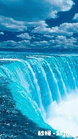 如果每个人的记忆都只有7秒，你最想记住的是谁