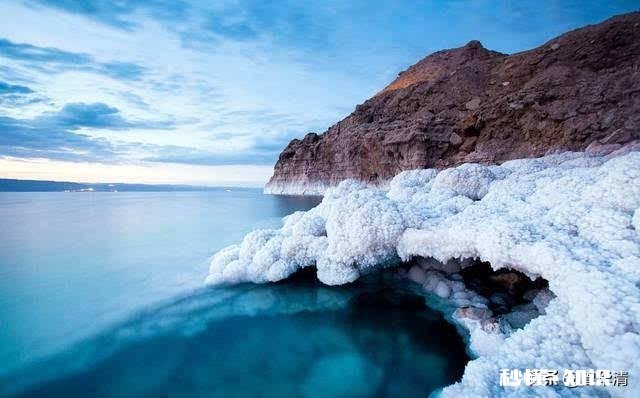 为什么死海的盐分这么高