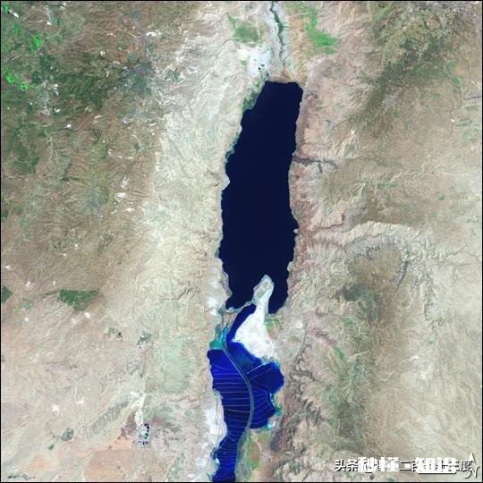 为什么死海的盐分这么高